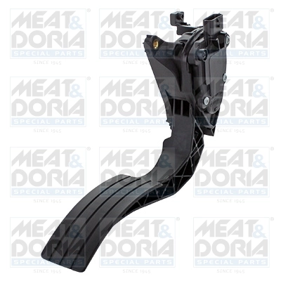 Accelerator Pedal Unit
